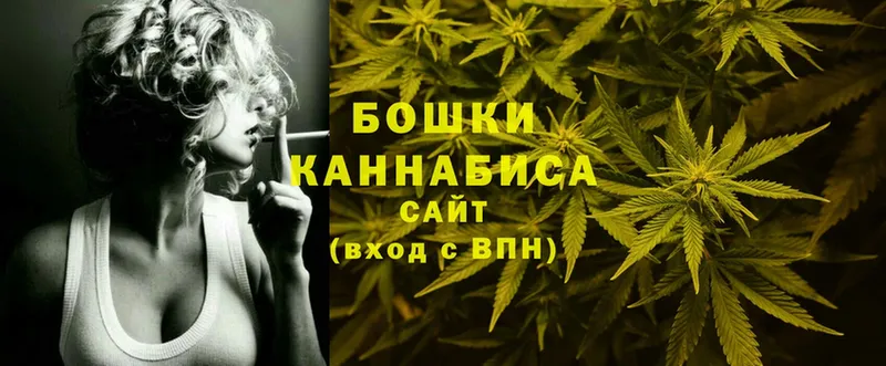 Бошки марихуана OG Kush  купить закладку  KRAKEN как зайти  Сосновка 